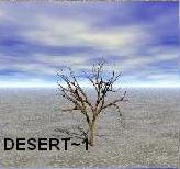 DESERT1