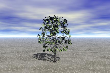 Tree1C0