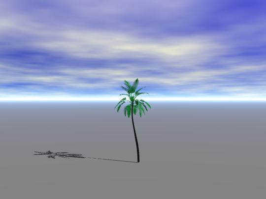 palmtree1
