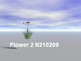 Flower_2N210209